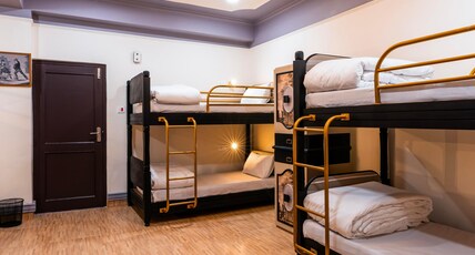 Zostel Kufri Room Type - 1 Bunk Bed | Deluxe 6 Bed Mixed Dorm | Shared En-suite Washroom Zostel Kufri Room Type - 1 Bunk Bed | Deluxe 6 Bed Mixed Dorm | Shared En-suite Washroom