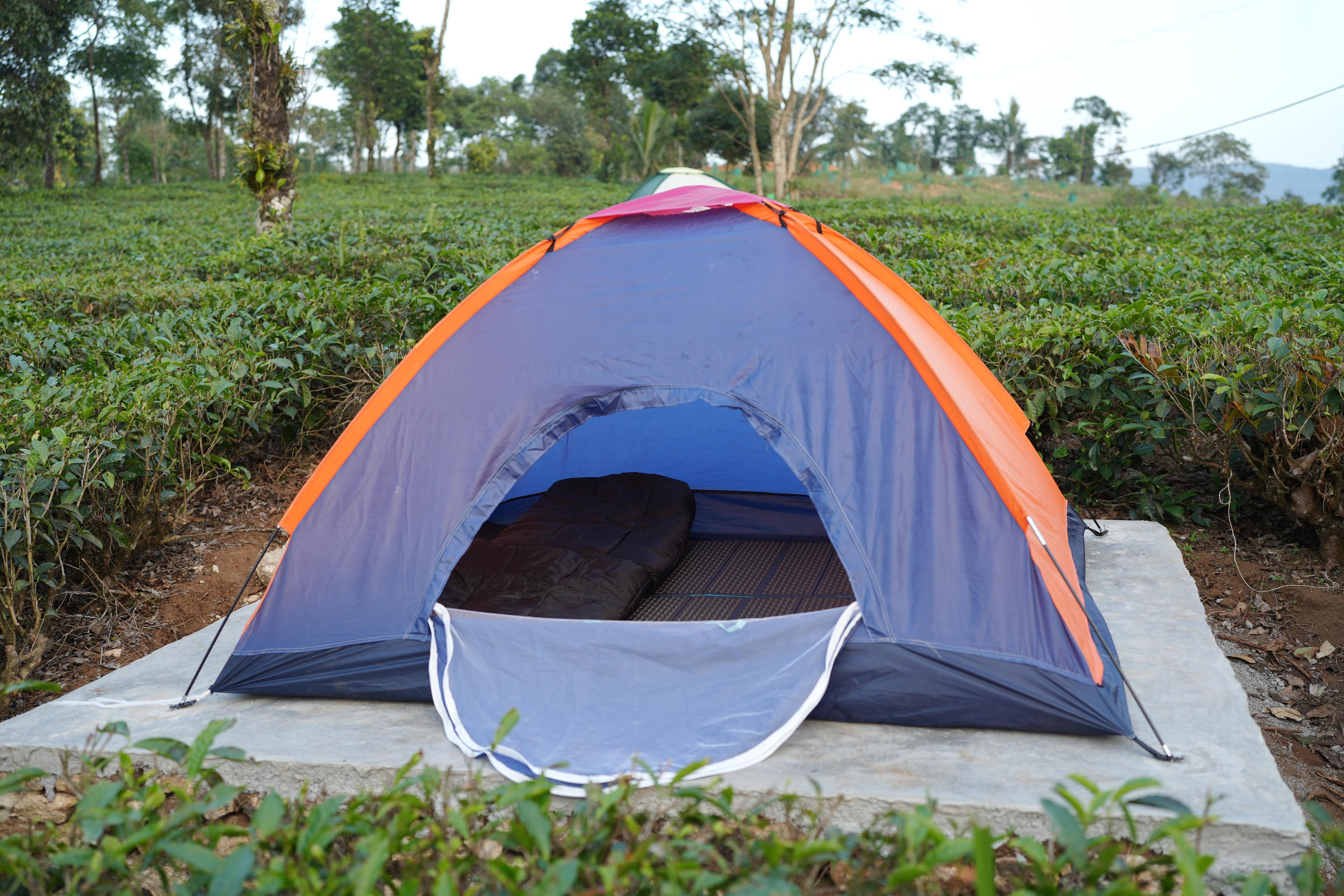 Aura Tree House Tent 1 - Tap to explore photos