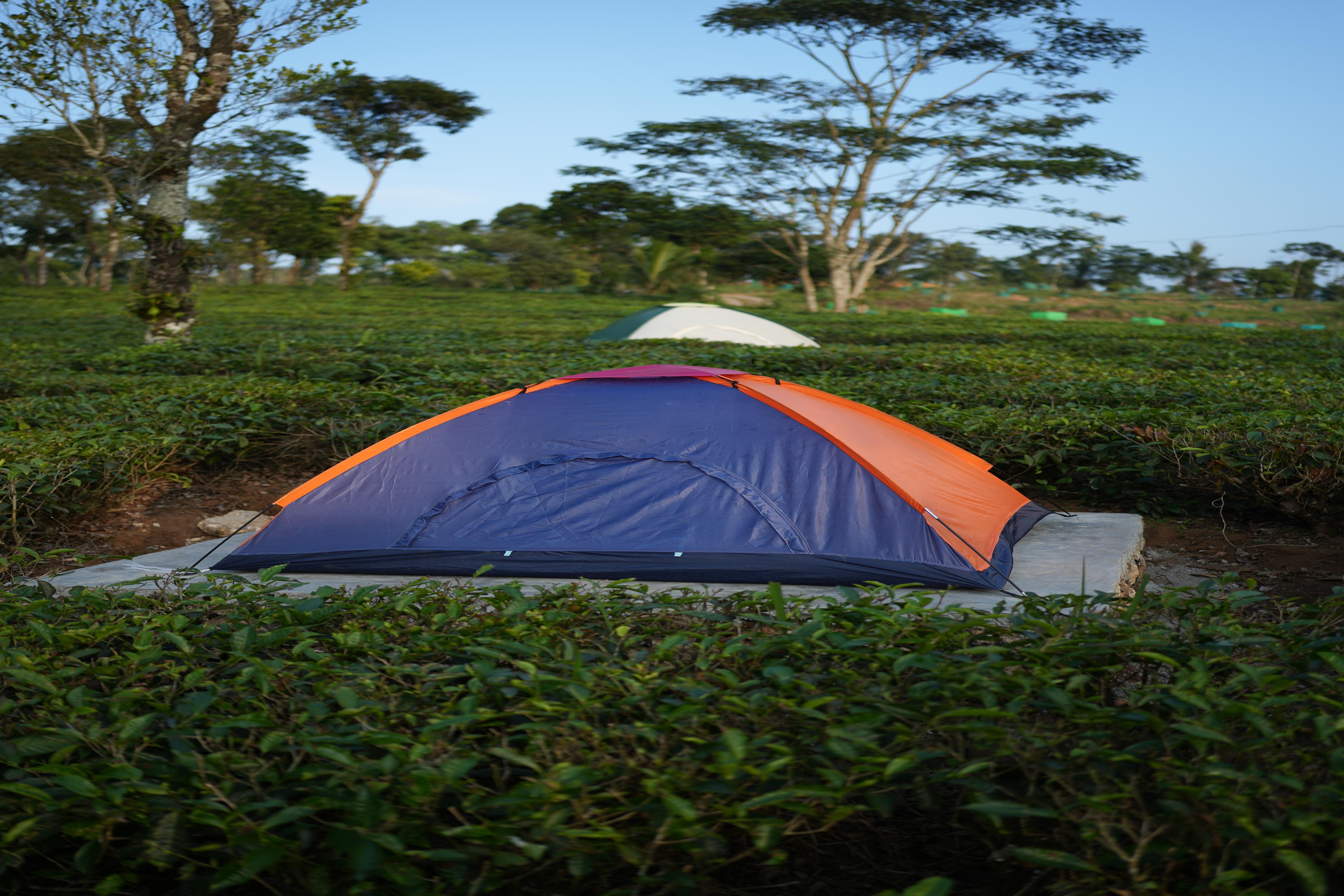 Aura Tree House Tent 1 Room Type - Aura Tree House Tent 1