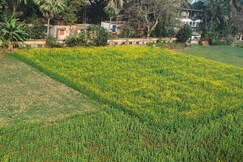 Laxmi Narasimha hotel