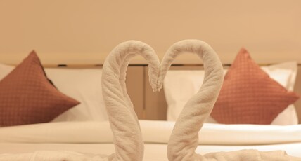Aarya Resort Room Type - Deluxe Room