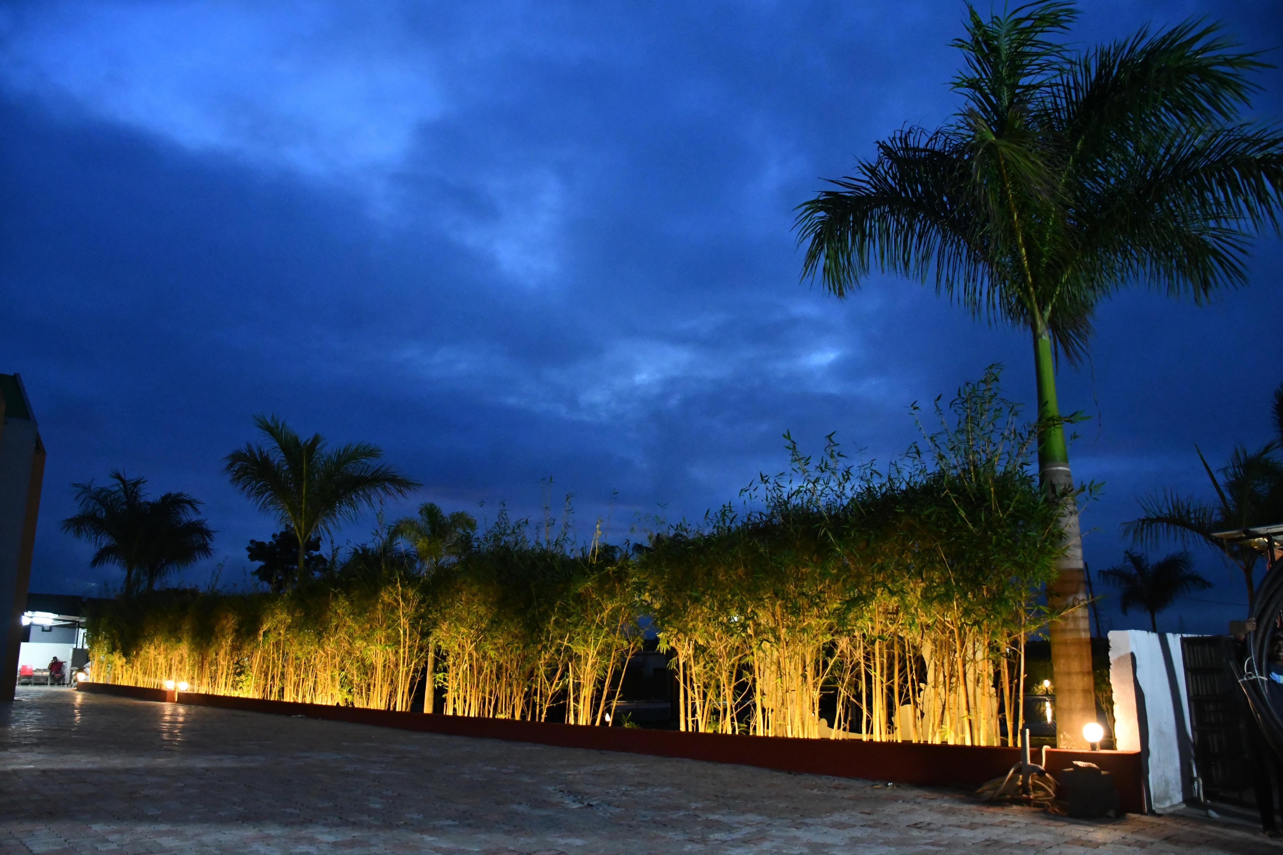 RISING BLISS RETREAT RESORT - Tap to explore photos