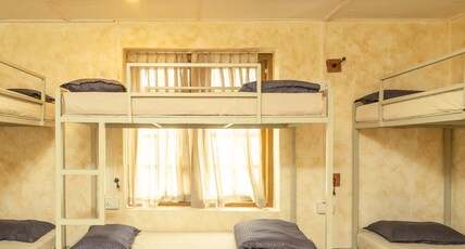 Hostyard Plantation Hostel Room Type - 6 Bed Female Dorms