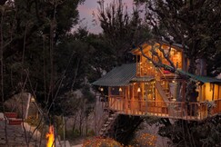 Photos of Rumsu Tree House by SLC