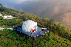 Bemyguezt Pendora Glamps