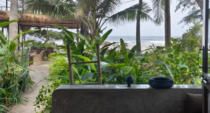 Palm Grove Beach Resort Room Type - Beach Front Bungalow -Rosie Slow Palm Grove Beach Resort Room Type - Beach Front Bungalow -Rosie Slow