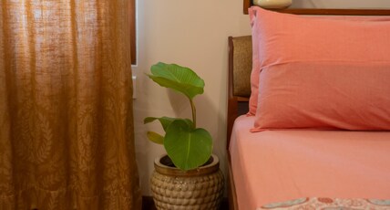 PlanNothing Surf & Stay Room Type - Standard Queen Room Non AC