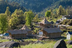 Saraaya Glamps, Dharamshala