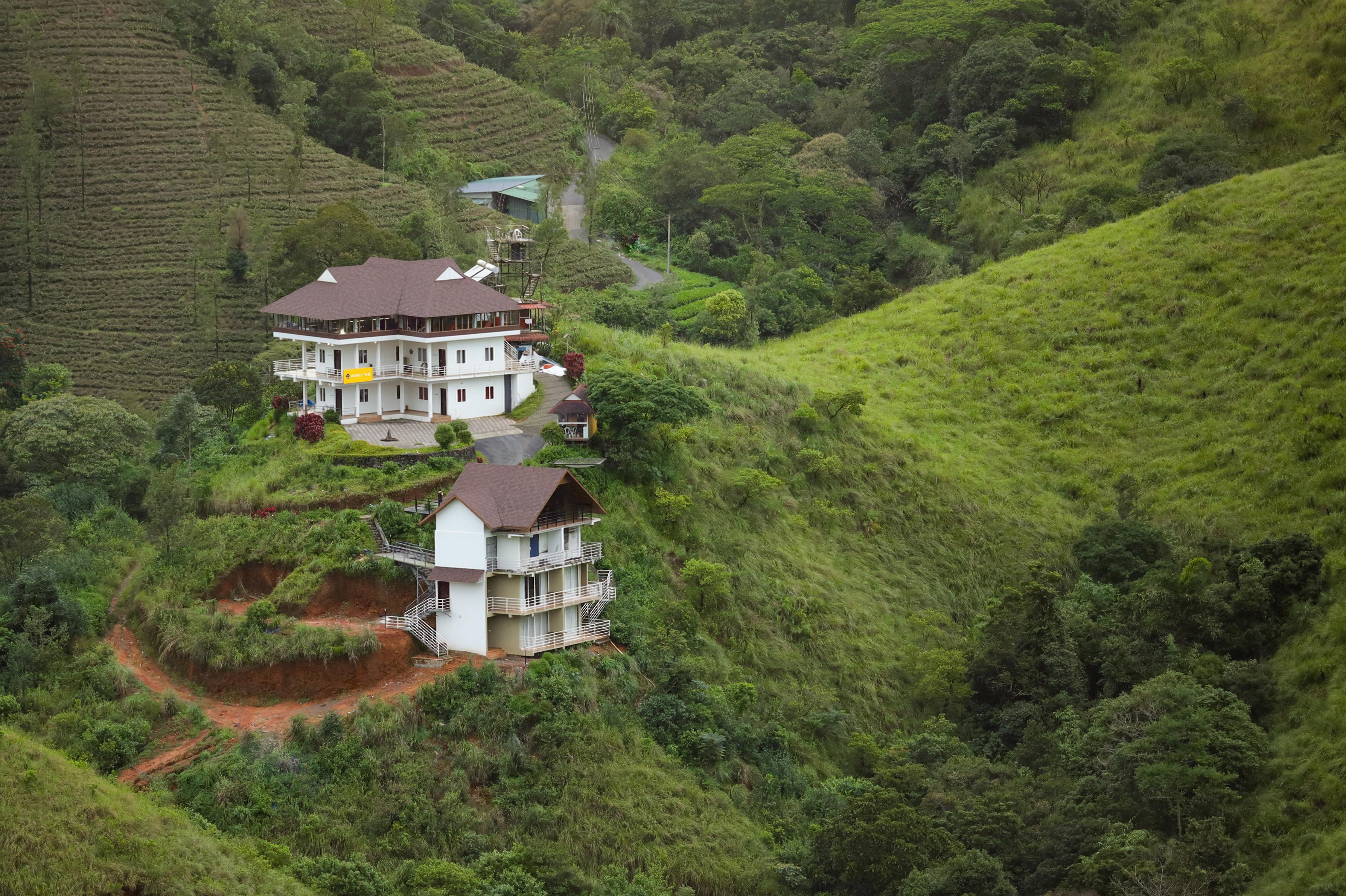 Monkey Tribe Vagamon