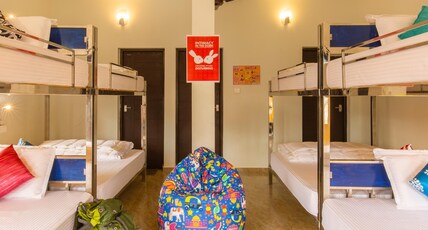 Monkey Tribe Vagamon Room Type - 1 Bunk bed | 8 Bed Mixed Dorms | Shared Ensuite washroom
