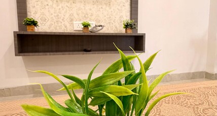 Lavender Living Comforts Stay Room Type - Lavender Living Comforts Stay