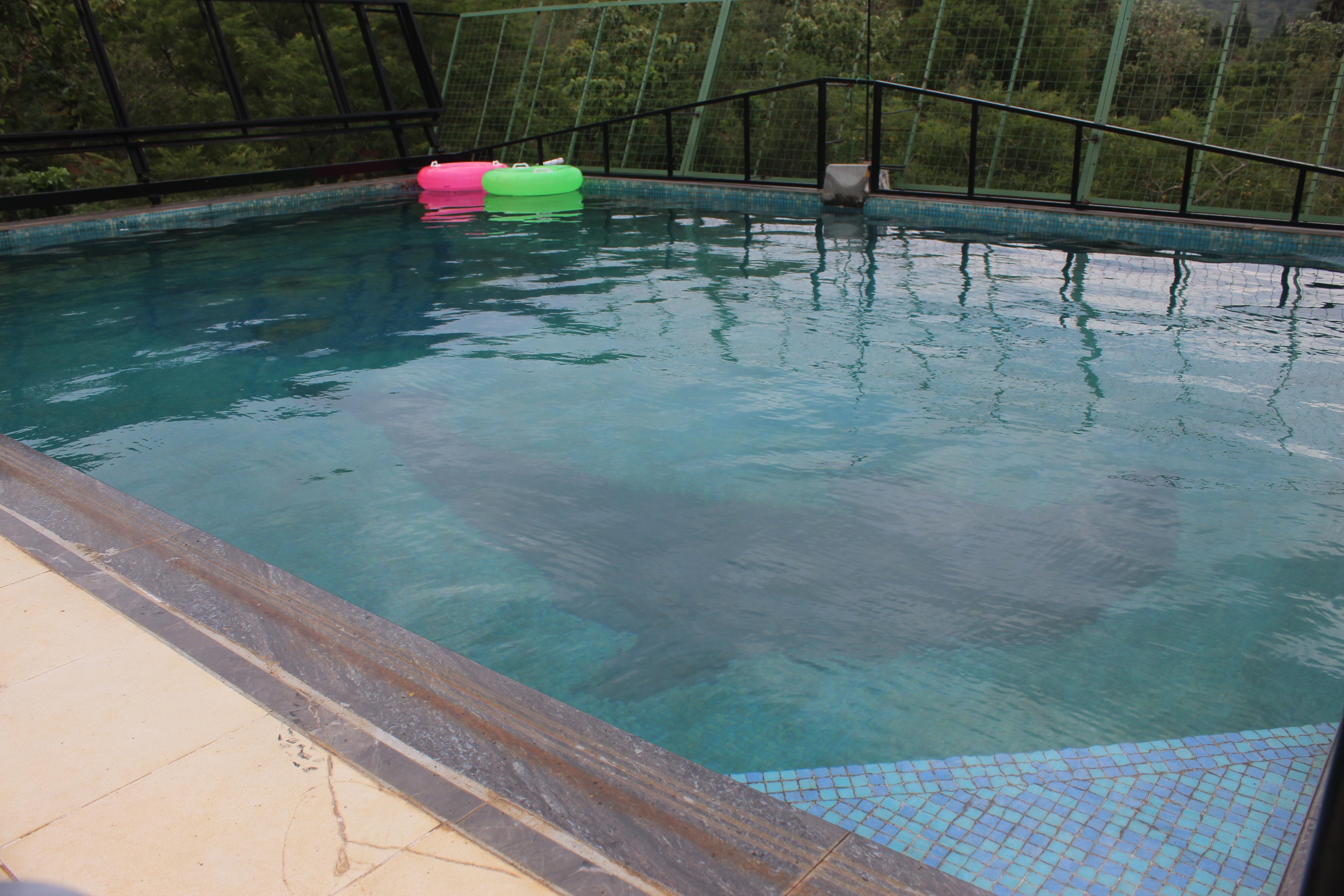 IVORY INN (ECO TOURISM)