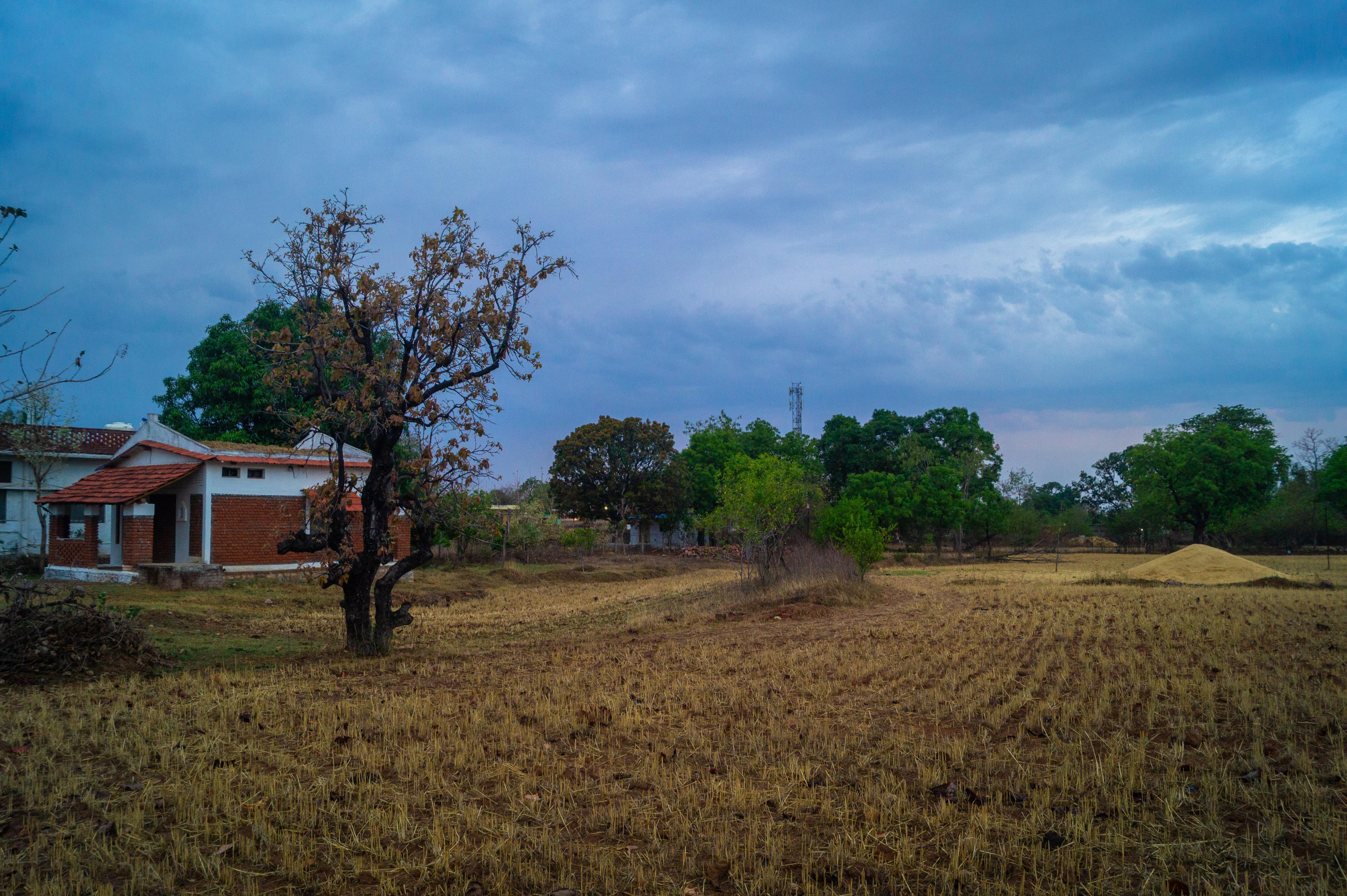 J. J. & Jay's Homestay - Tap to explore photos