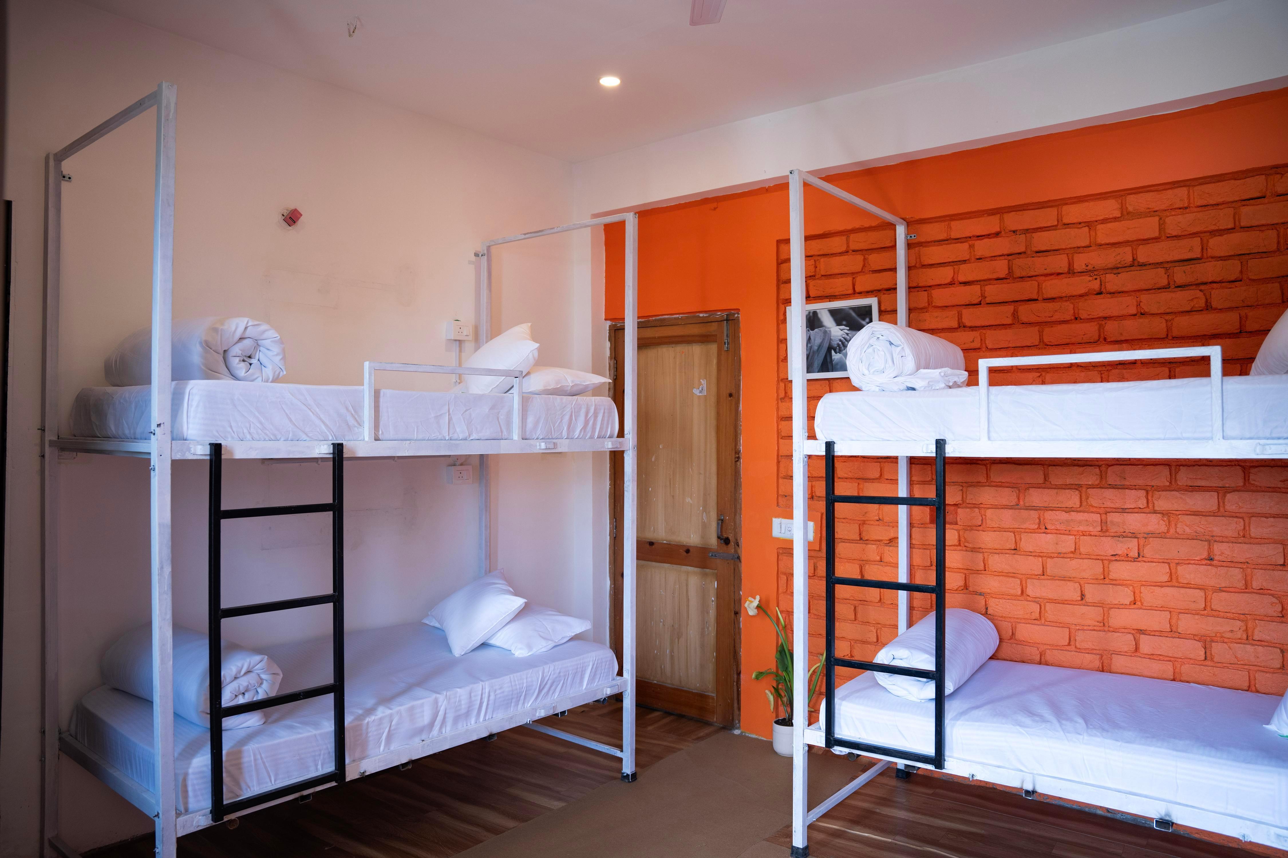 Loopin Mcleodganj Room Type - 4 Bed Mixed Dorm