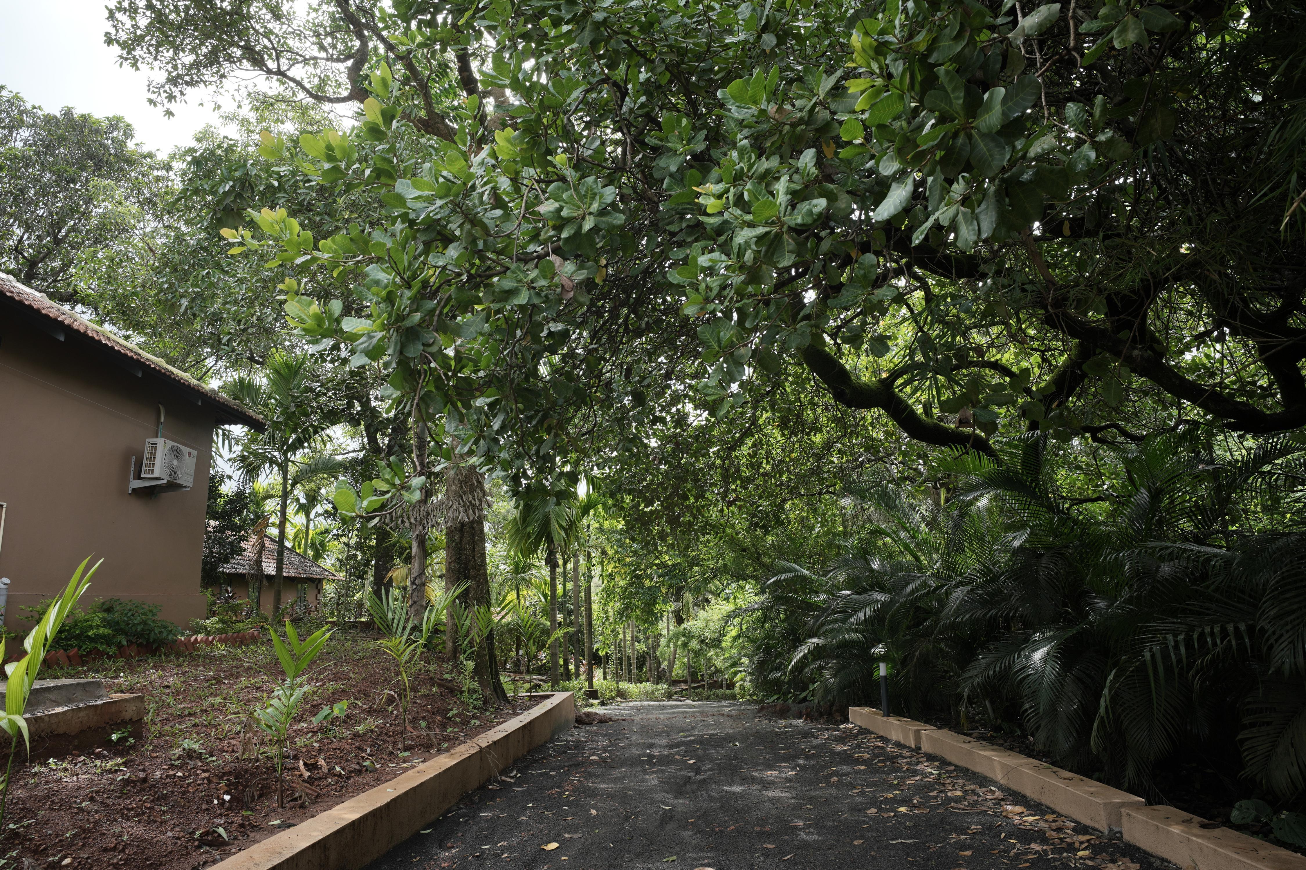 Riverfront Pale Resort, Goa - Tap to explore photos