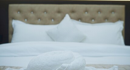 Hotel Delw Room Type - Deluxe Room