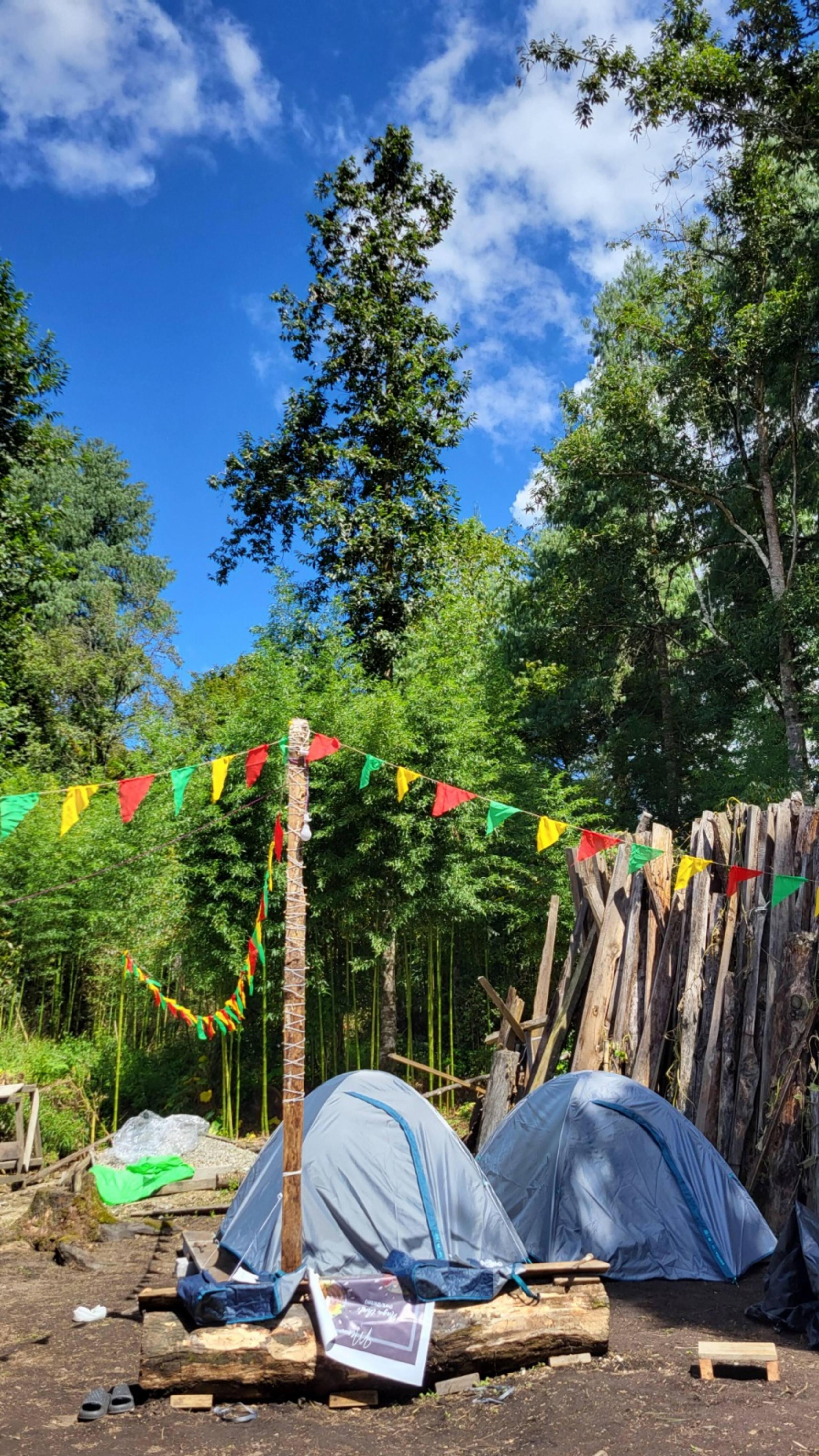 Campsite at The Wooden Haven 1km from ZMF - Tap to explore photos
