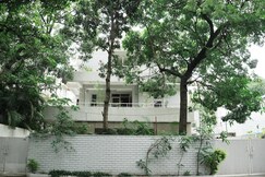 A MANGO TREE STAY