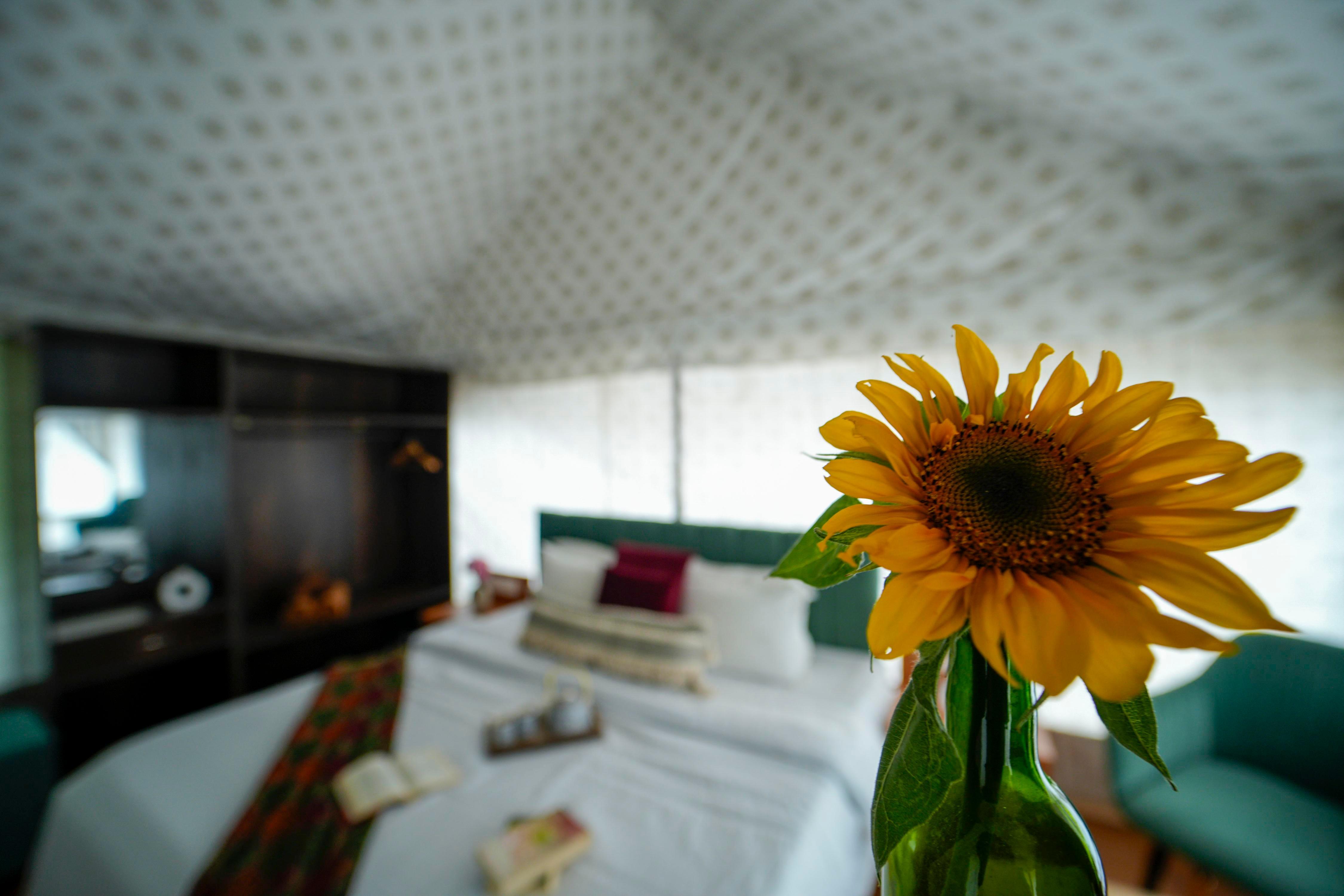 Skylight Retreat's Executive glamping tents with infinity mountain view - Tap to explore photos