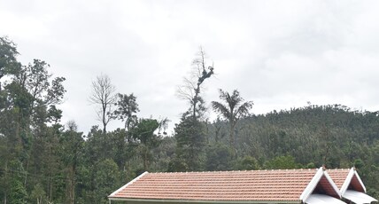MoonMist Resort Room Type - Family Cottage With Balcony