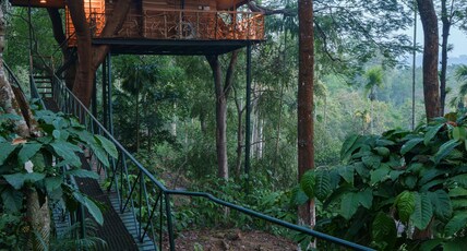 Tranquil Resort - BluSalzz Collection, Wayanad Room Type - Tranquiltree House