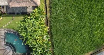 The Ubud Village Resort & Spa Room Type - Rice Field Villa with Private Pool The Ubud Village Resort & Spa Room Type - Rice Field Villa with Private Pool