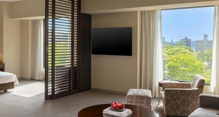 Hyatt Regency Tokyo Room Type - REGENCY SUITE, 1 KING BED