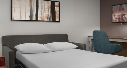 Hilton Garden Inn Westbury Room Type - 1 KING BED JUNIOR SUITE