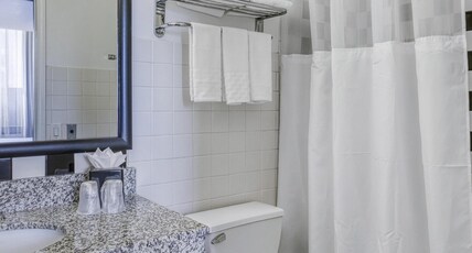 Best Western River North Hotel Room Type - Suite-1 King Bed, Non-Smoking, Premium Room, High Speed Internet Access, Sofabed, Refrigerator