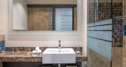 Hilton Geneva Hotel & Conference Centre Room Type - KING GUEST ROOM