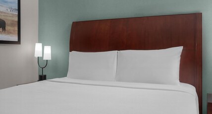 Hilton Garden Inn Denver Downtown Room Type - 1 KING HEARING ACCESSIBLE