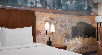 Hilton Garden Inn Denver Downtown Room Type - 1 KING BED