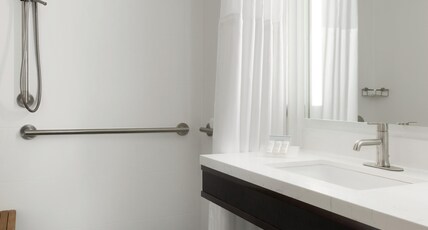 Hilton Garden Inn Washington DC Downtown Room Type - 2 QN ACC RM ROLLIN SHWR