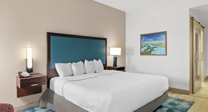 Hampton Inn - Naples - I-75 Room Type - 1 KNG ACC ROLLIN SHWR NS