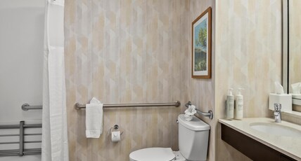 Hampton Inn - Naples - I-75 Room Type - 1KNG MOB HEAR ACC W TUB NS