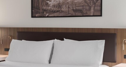 Hilton Garden Inn Morgantown Room Type - 1 KING BED