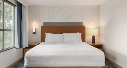 Hampton Inn & Suites by Hilton Langley-Surrey Room Type - 1KNG DLX W  SOFABED NOSMOK