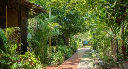 Palm Grove Eco Resort Room Type - Deluxe Canal Top Palm Grove Eco Resort Room Type - Deluxe Canal Top