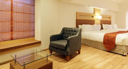 The Emerald Park Room Type - Junior Suite