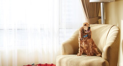 President, Mumbai - IHCL SeleQtions Room Type - Superior City View Twin Bed