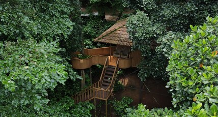 Planet Green Plantation Resort Room Type - Tree House AC Double