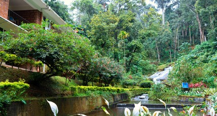 Falling Waters Munnar Room Type - Water View Suite