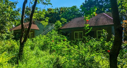 Syna Tiger Resort Room Type - Tribal Cottages Syna Tiger Resort Room Type - Tribal Cottages