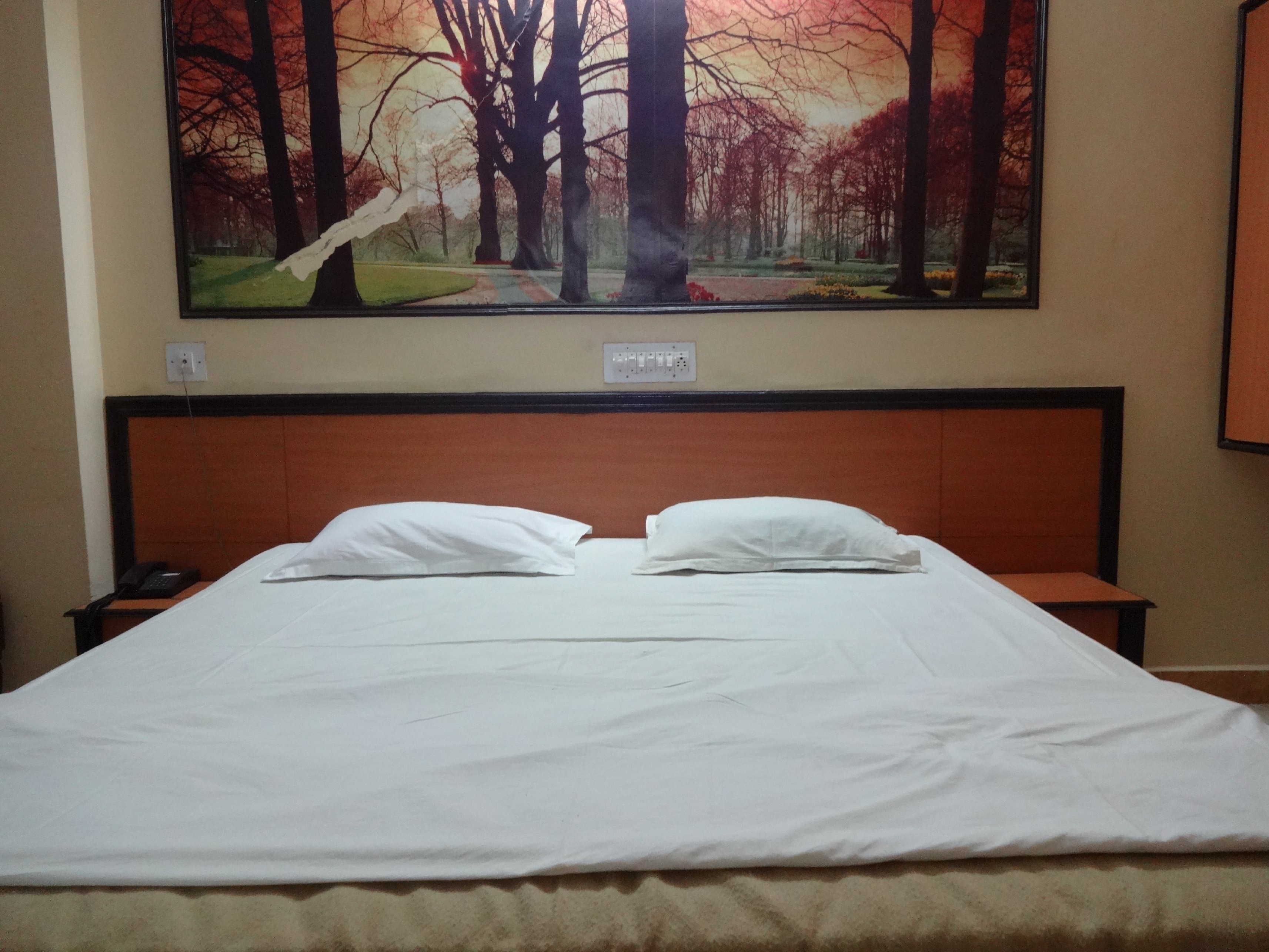 Chaitanya International Room Type - Deluxe Non Ac room