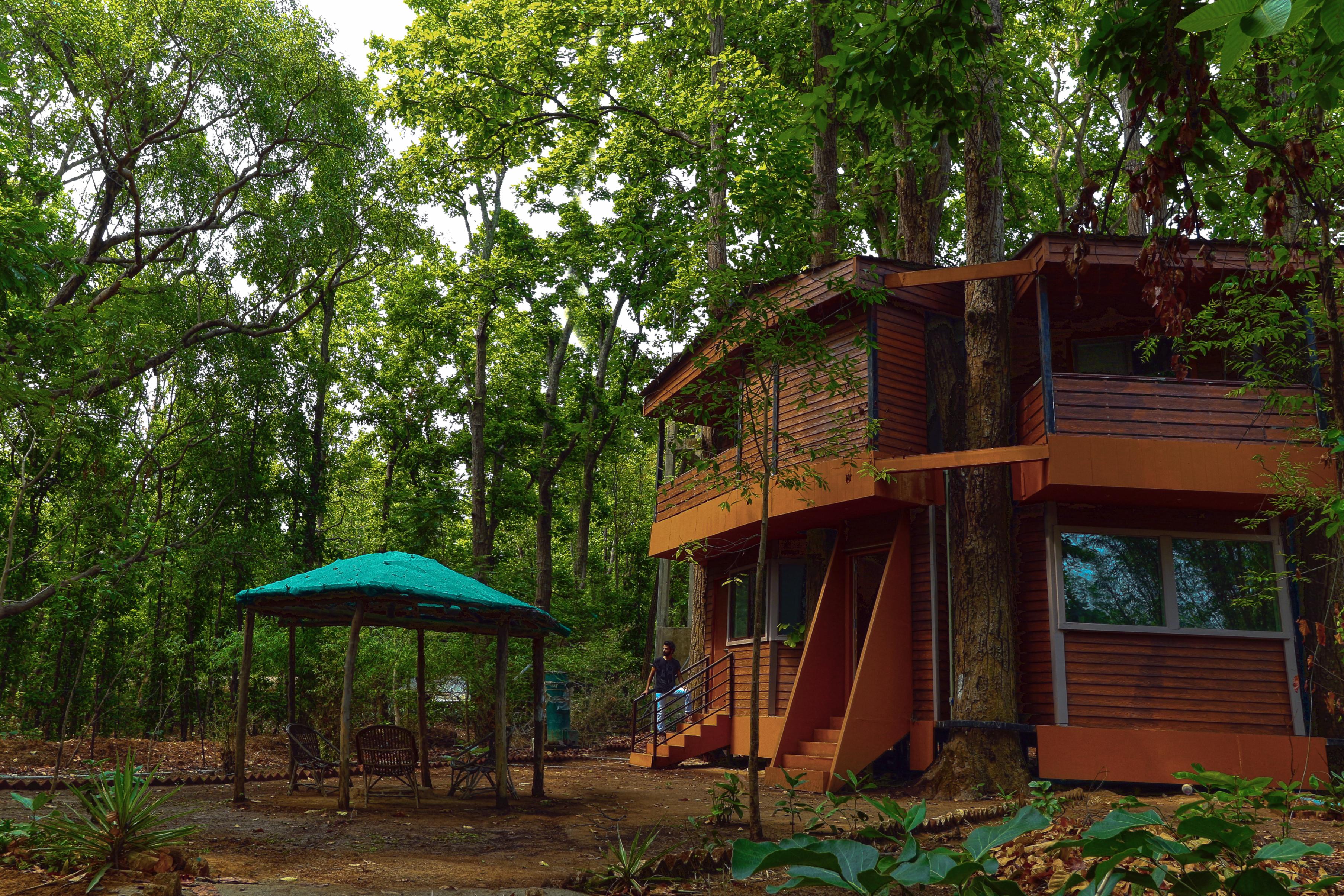 Kanha Meadows Room Type - Tree House