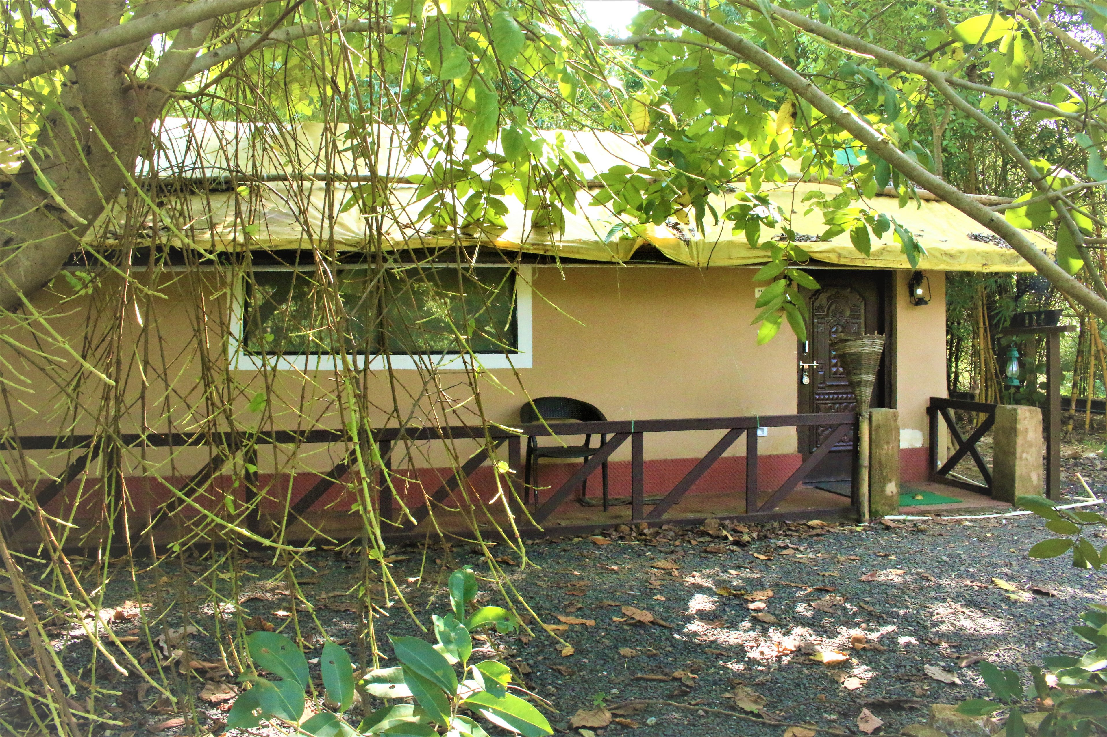 Hotel Kanha Treasure In Forest - Tap to explore photos