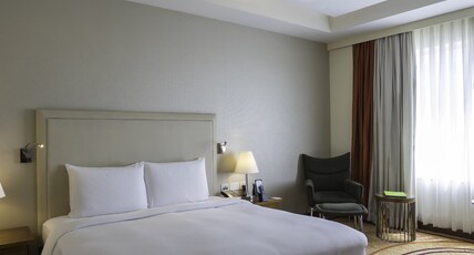 DoubleTree by Hilton - New Delhi NCR Room Type - King Bed Guestroom 