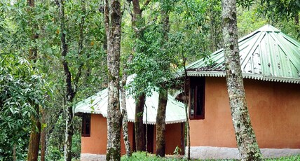 Punarjani Ayurvedic Resorts Room Type - Natural Huts-Mud House