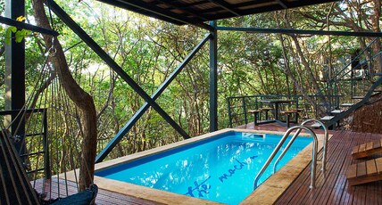 The Machan Room Type - Starlight Machan with Private Pool The Machan Room Type - Starlight Machan with Private Pool