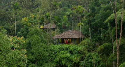 The Woods Resorts Wayanad Room Type - Tree House with Forest view Balcony